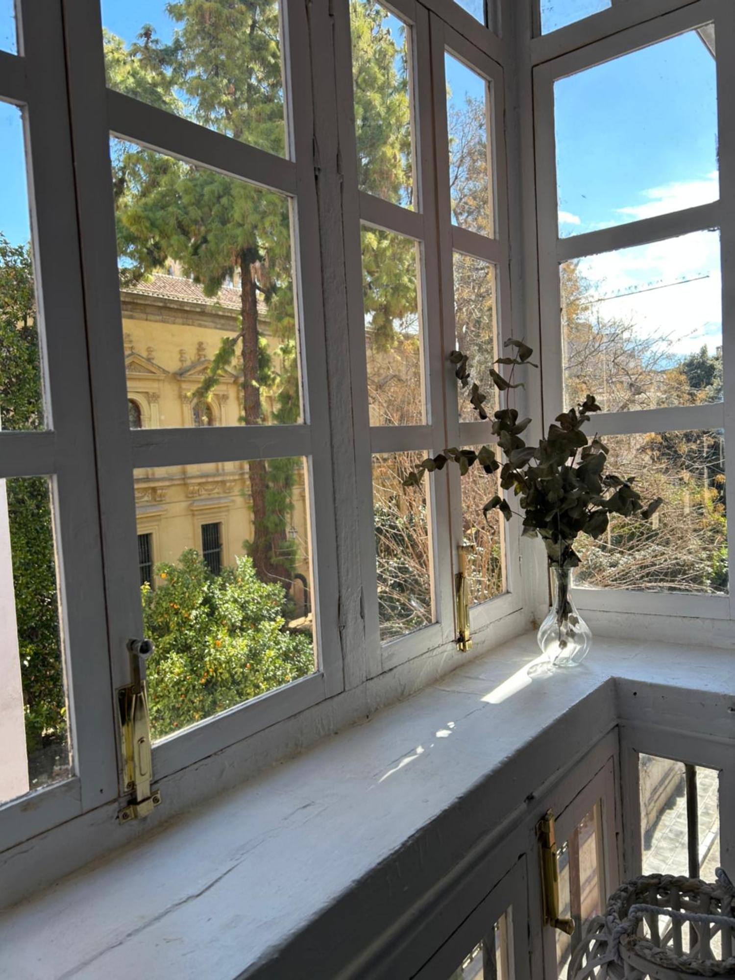 גרנדה Apartamento Jardin Botanico מראה חיצוני תמונה